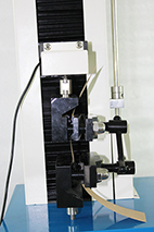 1636509234151313.png image.png